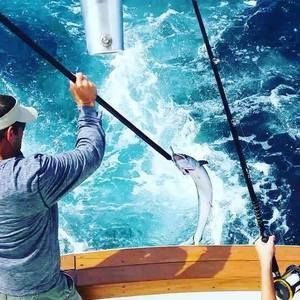 Meet your Posher, Larry